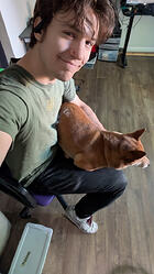 Extremely rare sighting of Satoshi Nakamoto in a lap dog configuration.